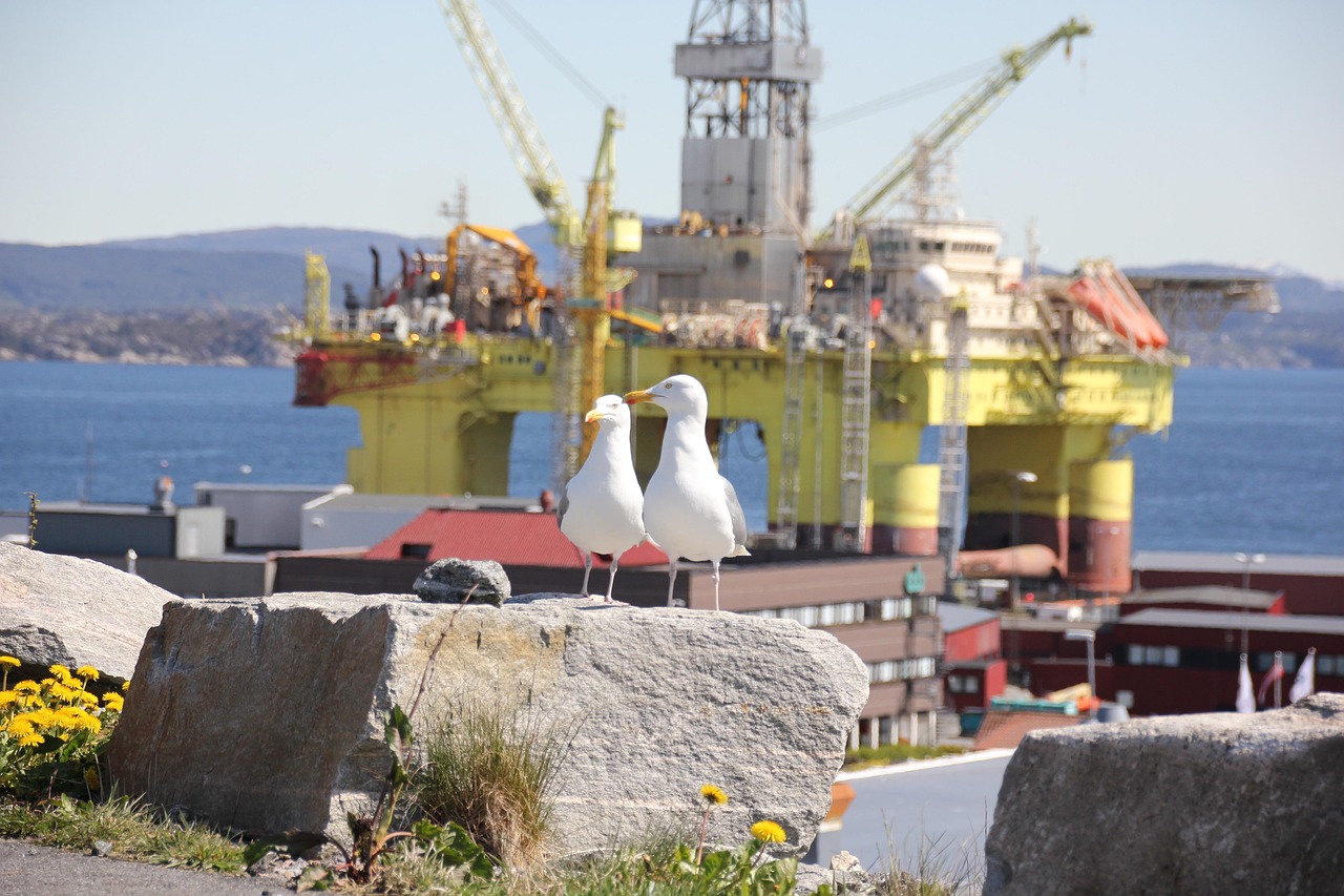 Plataforma